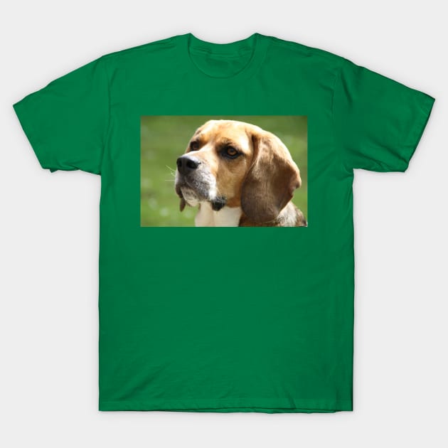 Beagle fifth T-Shirt by Wanderingangel